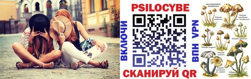 где купить наркоту  Иланский  ссылка на мегу онион  Галлюциногенные грибы прущие грибы 